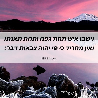 Picture 06 - מיכה 4:4 HEB - וישבו איש תחת גפנו ותחת - Bible Verse Picture