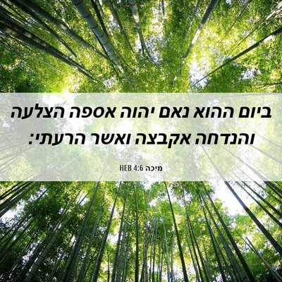Picture 06 - מיכה 4:6 HEB - ביום ההוא נאם יהוה אספה - Bible Verse Picture