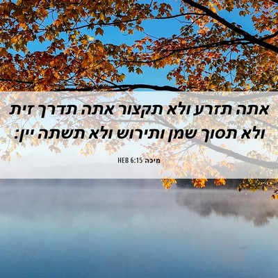 Picture 06 - מיכה 6:15 HEB - אתה תזרע ולא תקצור אתה תדרך - Bible Verse Picture