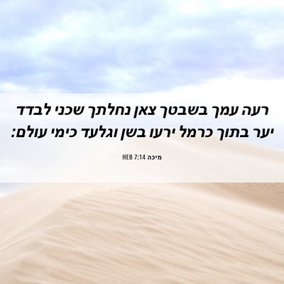 Picture 06 - מיכה 7:14 HEB - רעה עמך בשבטך צאן נחלתך - Bible Verse Picture