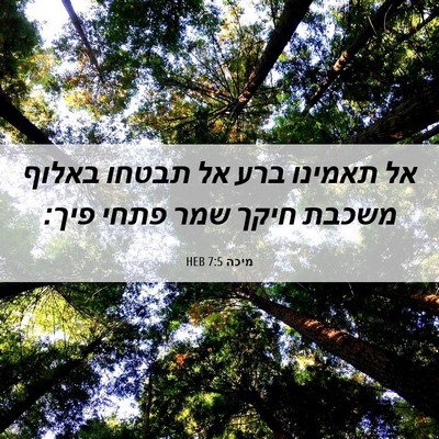 Picture 06 - מיכה 7:5 HEB - אל תאמינו ברע אל תבטחו - Bible Verse Picture