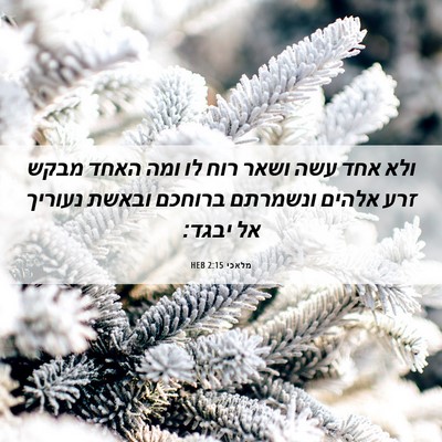 Picture 06 - מלאכי 2:15 HEB - ולא אחד עשה ושאר רוח לו ומה - Bible Verse Picture