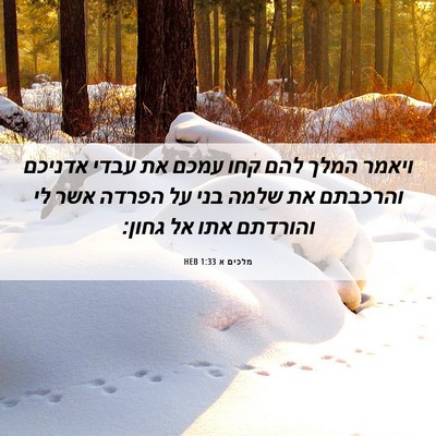 Picture 06 - מלכים א 1:33 HEB - ויאמר המלך להם קחו עמכם את - Bible Verse Picture