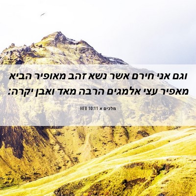 Picture 06 - מלכים א 10:11 HEB - וגם אני חירם אשר נשא זהב - Bible Verse Picture
