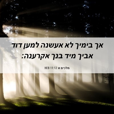 Picture 06 - מלכים א 11:12 HEB - אך בימיך לא אעשנה למען דוד - Bible Verse Picture