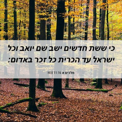 Picture 06 - מלכים א 11:16 HEB - כי ששת חדשים ישב שם יואב - Bible Verse Picture