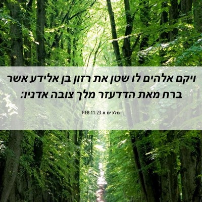 Picture 06 - מלכים א 11:23 HEB - ויקם אלהים לו שטן את רזון - Bible Verse Picture