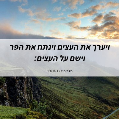Picture 06 - מלכים א 18:33 HEB - ויערך את העצים וינתח את הפר - Bible Verse Picture