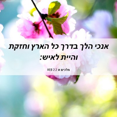 Picture 06 - מלכים א 2:2 HEB - אנכי הלך בדרך כל הארץ וחזקת - Bible Verse Picture