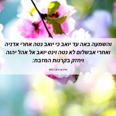 Picture 06 - מלכים א 2:28 HEB - והשמעה באה עד יואב כי יואב - Bible Verse Picture