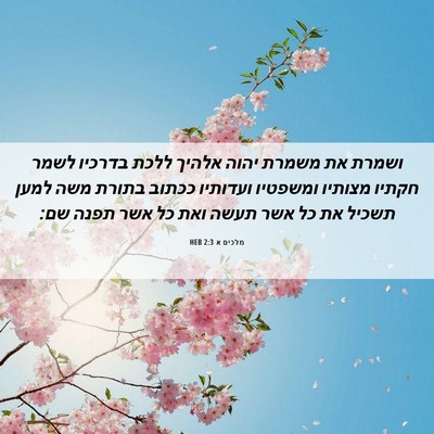 Picture 06 - מלכים א 2:3 HEB - ושמרת את משמרת יהוה אלהיך - Bible Verse Picture