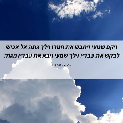 Picture 06 - מלכים א 2:40 HEB - ויקם שמעי ויחבש את חמרו - Bible Verse Picture