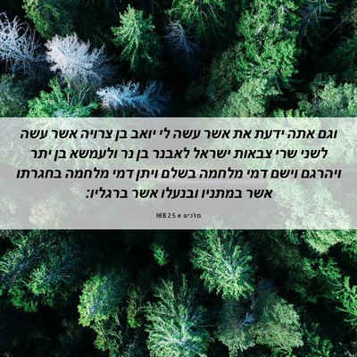 Picture 06 - מלכים א 2:5 HEB - וגם אתה ידעת את אשר עשה לי - Bible Verse Picture