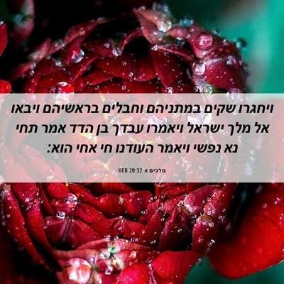 Picture 06 - מלכים א 20:32 HEB - ויחגרו שקים במתניהם וחבלים - Bible Verse Picture