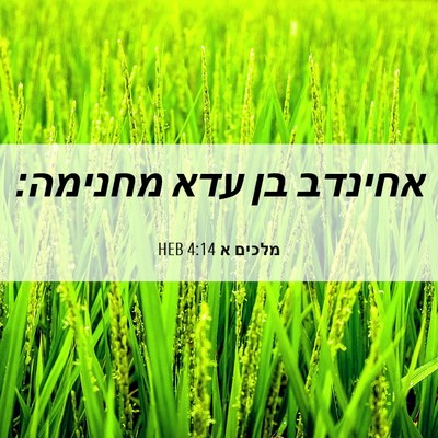 Picture 06 - מלכים א 4:14 HEB - אחינדב בן עדא - Bible Verse Picture