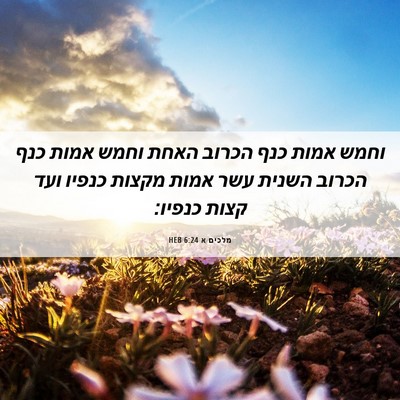 Picture 06 - מלכים א 6:24 HEB - וחמש אמות כנף הכרוב האחת - Bible Verse Picture