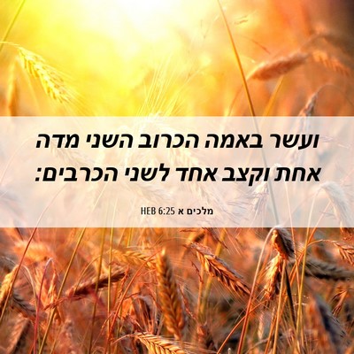 Picture 06 - מלכים א 6:25 HEB - ועשר באמה הכרוב השני מדה - Bible Verse Picture