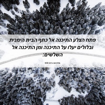 Picture 06 - מלכים א 6:8 HEB - פתח הצלע התיכנה אל כתף הבית - Bible Verse Picture