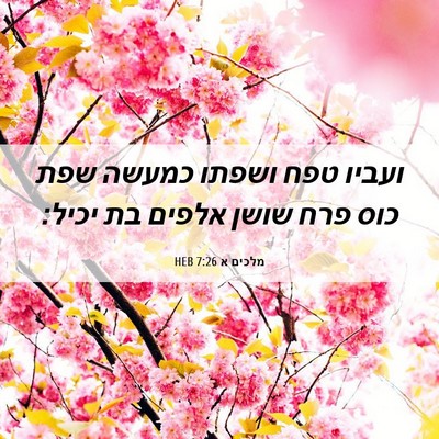 Picture 06 - מלכים א 7:26 HEB - ועביו טפח ושפתו כמעשה שפת - Bible Verse Picture