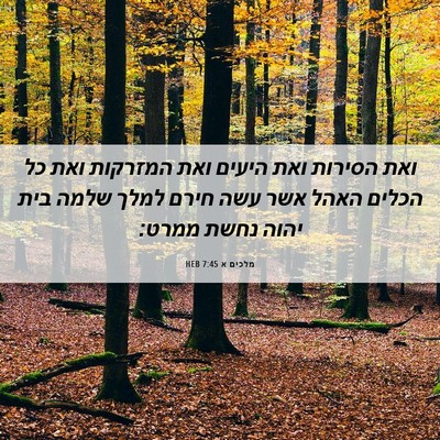 Picture 06 - מלכים א 7:45 HEB - ואת הסירות ואת היעים ואת - Bible Verse Picture
