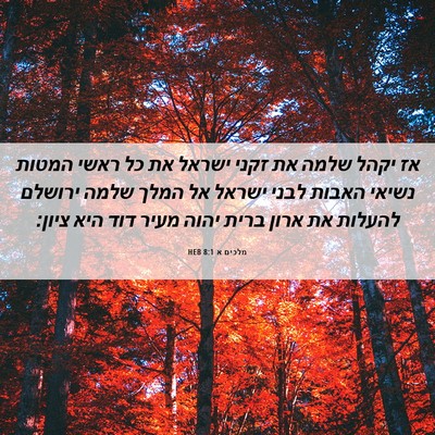 Picture 06 - מלכים א 8:1 HEB - אז יקהל שלמה את זקני ישראל - Bible Verse Picture
