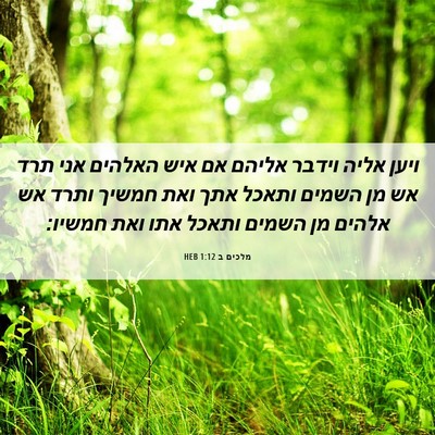 Picture 06 - מלכים ב 1:12 HEB - ויען אליה וידבר אליהם אם - Bible Verse Picture