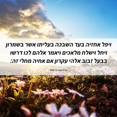 Picture 06 - מלכים ב 1:2 HEB - ויפל אחזיה בעד השבכה - Bible Verse Picture