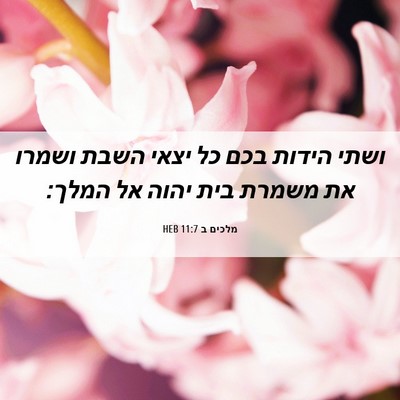 Picture 06 - מלכים ב 11:7 HEB - ושתי הידות בכם כל יצאי השבת - Bible Verse Picture