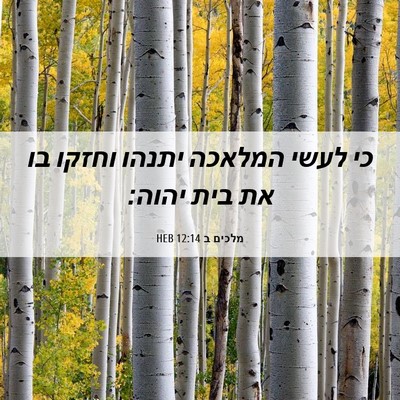 Picture 06 - מלכים ב 12:14 HEB - כי לעשי המלאכה יתנהו וחזקו - Bible Verse Picture