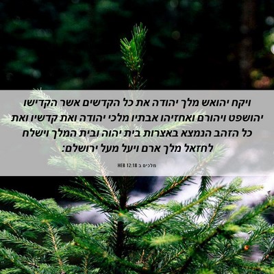 Picture 06 - מלכים ב 12:18 HEB - ויקח יהואש מלך יהודה את כל - Bible Verse Picture