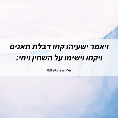 Picture 06 - מלכים ב 20:7 HEB - ויאמר ישעיהו קחו דבלת - Bible Verse Picture