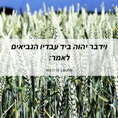 Picture 06 - מלכים ב 21:10 HEB - וידבר יהוה ביד עבדיו - Bible Verse Picture