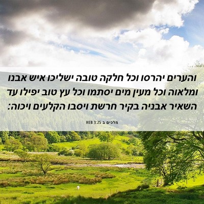 Picture 06 - מלכים ב 3:25 HEB - והערים יהרסו וכל חלקה טובה - Bible Verse Picture