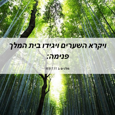 Picture 06 - מלכים ב 7:11 HEB - ויקרא השערים ויגידו בית - Bible Verse Picture