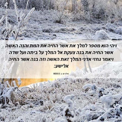 Picture 06 - מלכים ב 8:5 HEB - ויהי הוא מספר למלך את אשר - Bible Verse Picture