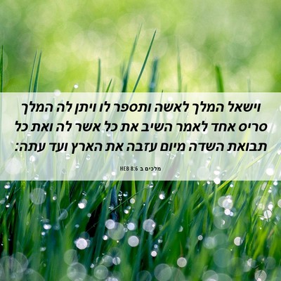 Picture 06 - מלכים ב 8:6 HEB - וישאל המלך לאשה ותספר לו - Bible Verse Picture