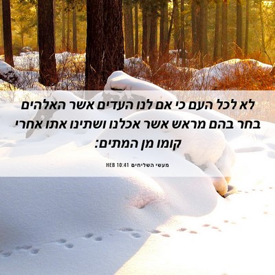 Picture 06 - מעשי השליחים 10:41 HEB - לא לכל העם כי אם לנו העדים - Bible Verse Picture