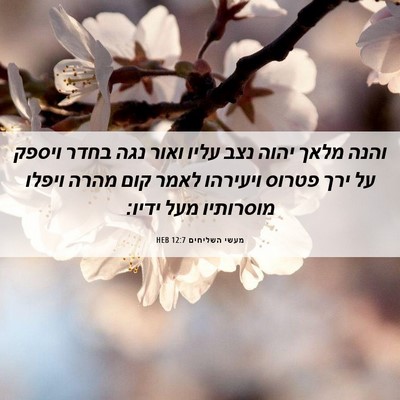 Picture 06 - מעשי השליחים 12:7 HEB - והנה מלאך יהוה נצב עליו - Bible Verse Picture