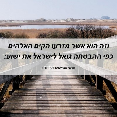 Picture 06 - מעשי השליחים 13:23 HEB - וזה הוא אשר מזרעו הקים - Bible Verse Picture