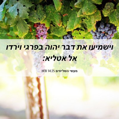 Picture 06 - מעשי השליחים 14:25 HEB - וישמיעו את דבר יהוה בפרגי - Bible Verse Picture