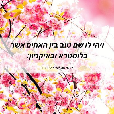 Picture 06 - מעשי השליחים 16:2 HEB - ויהי לו שם טוב בין האחים - Bible Verse Picture