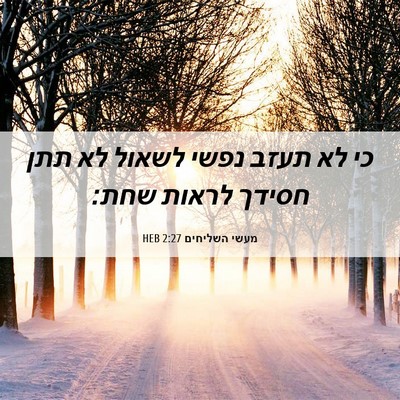 Picture 06 - מעשי השליחים 2:27 HEB - כי לא תעזב נפשי לשאול לא - Bible Verse Picture
