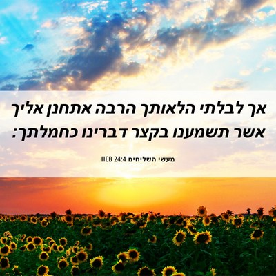 Picture 06 - מעשי השליחים 24:4 HEB - אך לבלתי הלאותך הרבה אתחנן - Bible Verse Picture