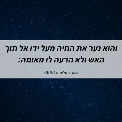 Picture 06 - מעשי השליחים 28:5 HEB - והוא נער את החיה מעל ידו אל - Bible Verse Picture