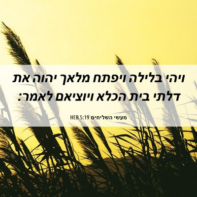 Picture 06 - מעשי השליחים 5:19 HEB - ויהי בלילה ויפתח מלאך יהוה - Bible Verse Picture