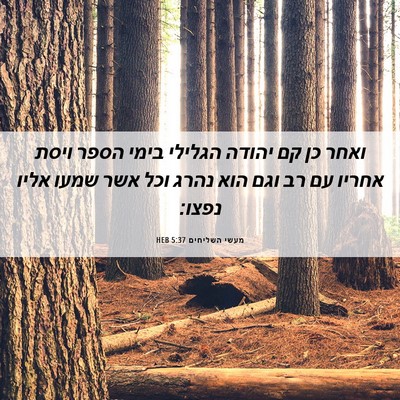 Picture 06 - מעשי השליחים 5:37 HEB - ואחר כן קם יהודה הגלילי - Bible Verse Picture
