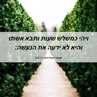 Picture 06 - מעשי השליחים 5:7 HEB - ויהי כמשלש שעות ותבא אשתו - Bible Verse Picture
