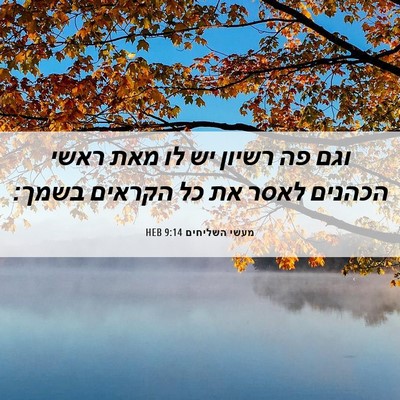 Picture 06 - מעשי השליחים 9:14 HEB - וגם פה רשיון יש לו מאת ראשי - Bible Verse Picture