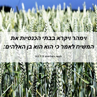 Picture 06 - מעשי השליחים 9:20 HEB - וימהר ויקרא בבתי הכנסיות - Bible Verse Picture
