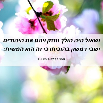 Picture 06 - מעשי השליחים 9:22 HEB - ושאול היה הולך וחזק ויהם את - Bible Verse Picture